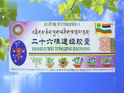 二十六味通经胶囊