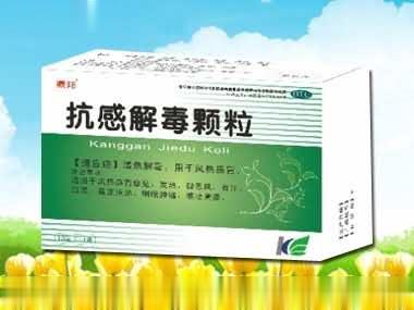 鼎邦牌抗感解毒颗粒