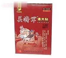 关将军通关贴（消肿止痛  风湿关节炎）