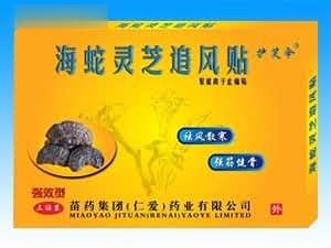 海蛇灵芝追风贴