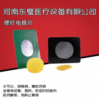 温热定向透化电极片
