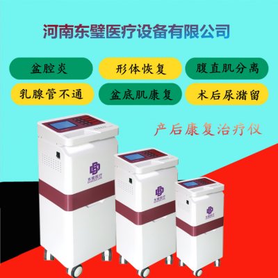 产后康复治疗仪 盆底修复治疗仪