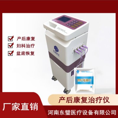 产后修复治疗仪和理疗电极片