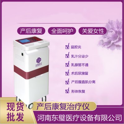 低频产后治疗仪详情简介