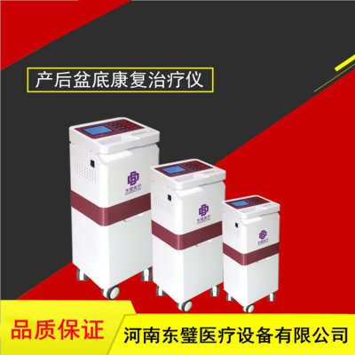低频产后靶向治疗仪