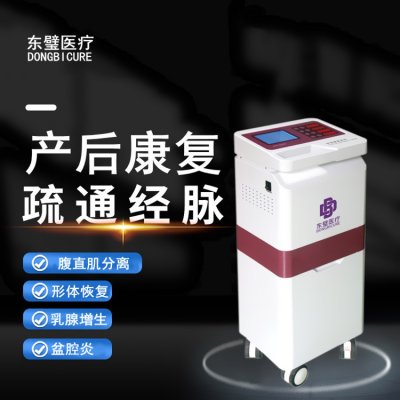 产后康复治疗仪 产后修复治疗仪 妇科治疗仪