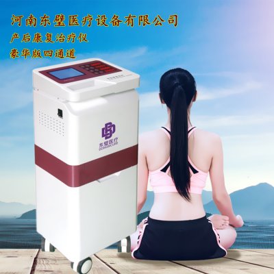 低频产后治疗仪单品